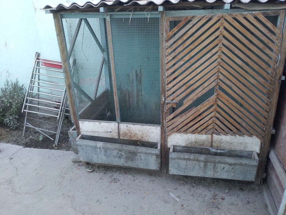 Tovuqlar sotiladi katagi bn