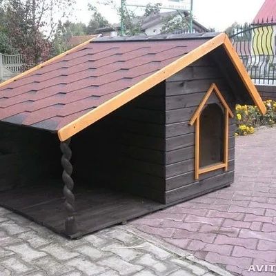 Бутка для собак разные виды