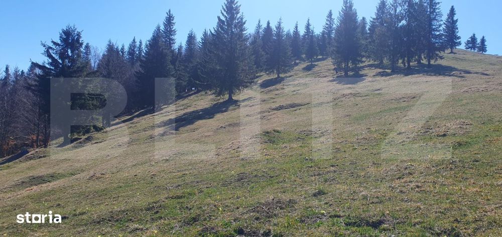 Teren extravilan, cu o suprafata generoasa de 206.189 mp in Dorna Cand