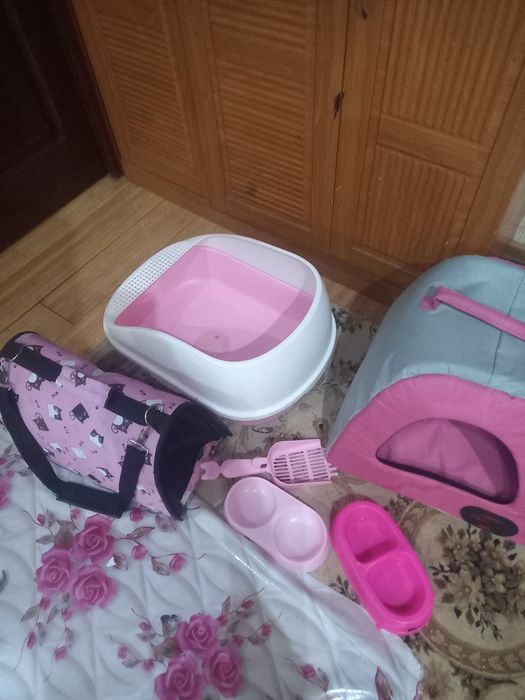 Mushuk va uning narsalari sotiladi