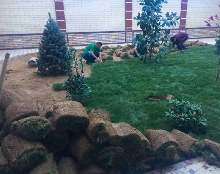 Gazon ekish va urug‘ sepish Gazon o‘rish Xizmati