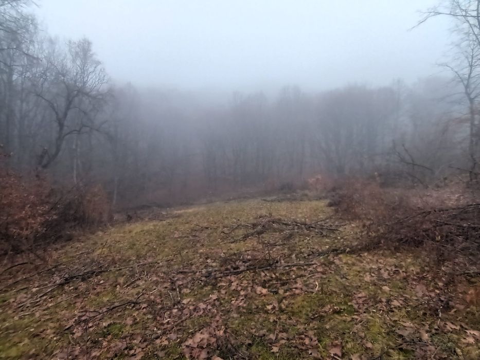Teren intravilan 3.186 mp – Sat Vărmaga, Certeju de Sus, Hunedoara – luminiș la poalele muntelui