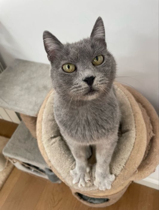 Stormi isi cauta casuta