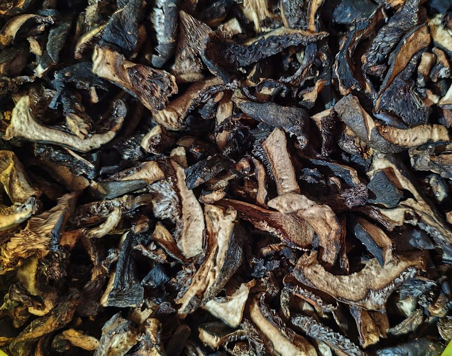 Продам грибы сушеные