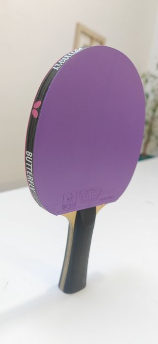 Paleta tenis Sanwei Tuttle Pink Purple