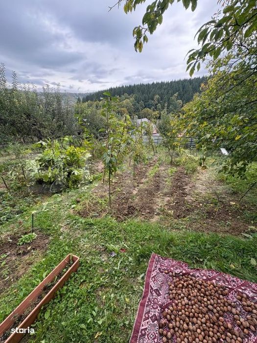 Teren intravilan de vanzare, 556 mp, zona strada Taberei
