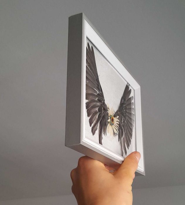 Aripi naturale înrămate