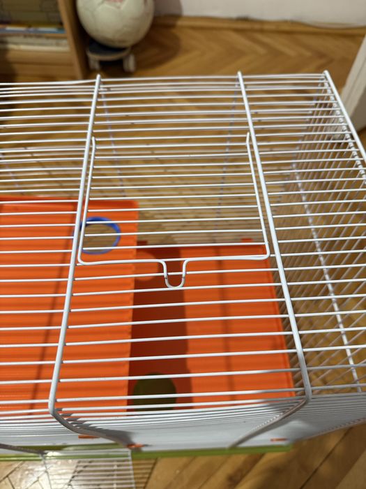 Cusca pentru hamsteri