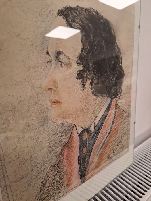 Tablou  desen  pictură