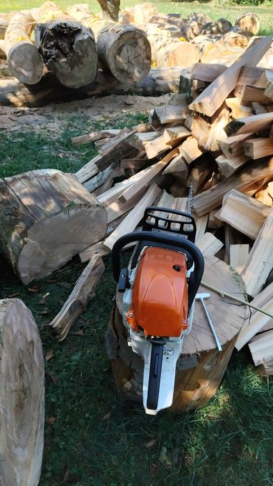 Tai lemne județ Timiș