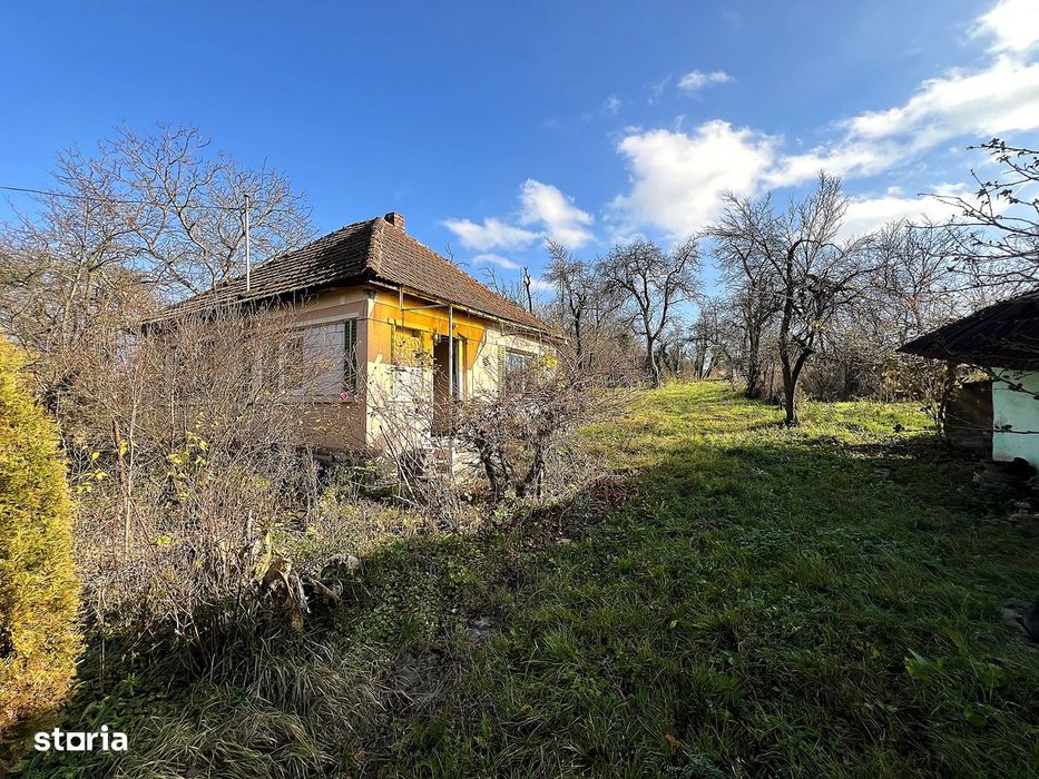 Casa cu teren generos-Viile Satu Mare