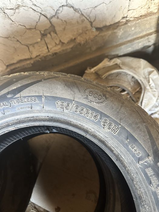 R14 /65/185 жаздык