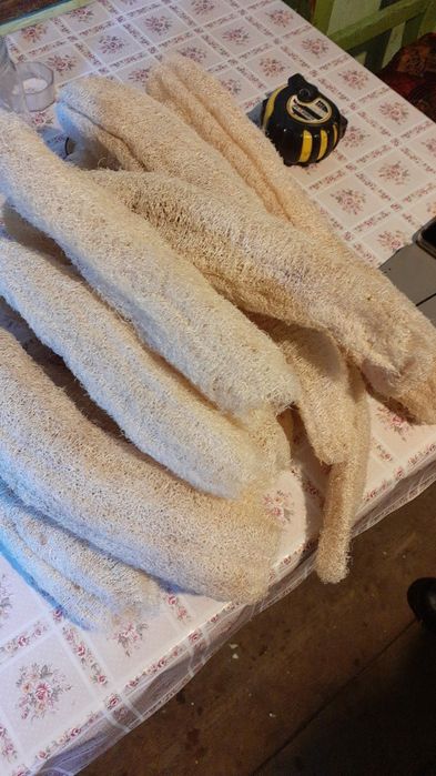 Lufa burete natural luffa