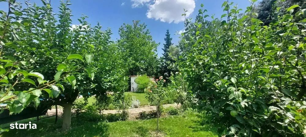 Vila cu 8 Camere Corbeanca | Semineu | Curte 2300mp | Piscina | Sauna