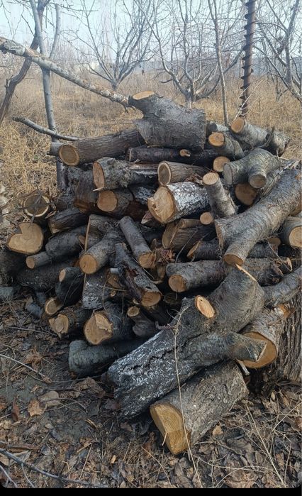 Mototsik va Утин o’tin sotiladi