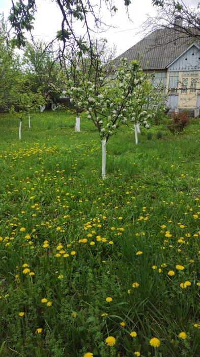 Vand casa batraneasca