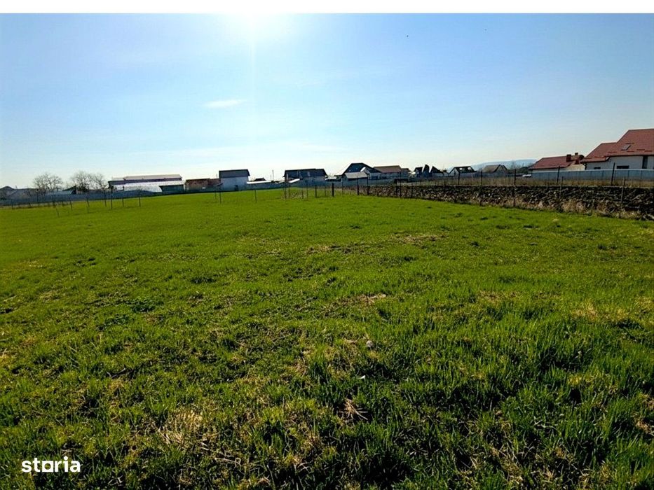 Teren Intravilan Salcea | 72.000 MP | Parcelabil | Investiție Majoră