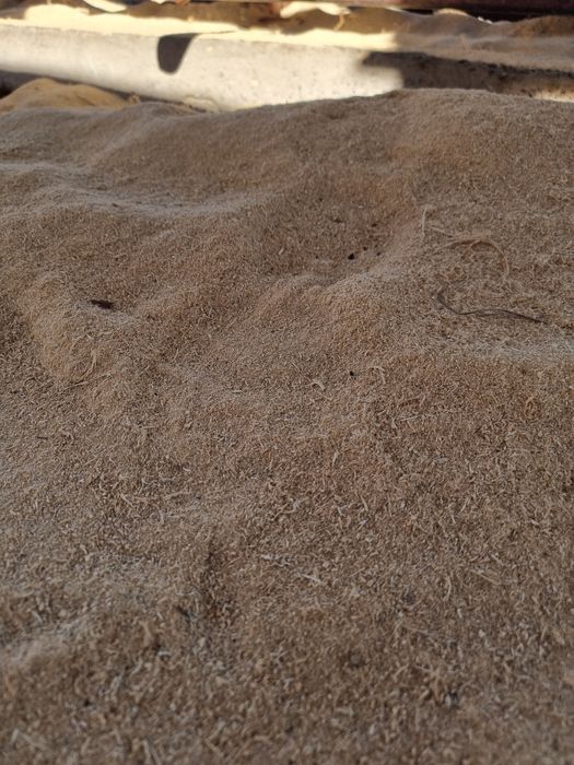 Апилка аапилкааааа