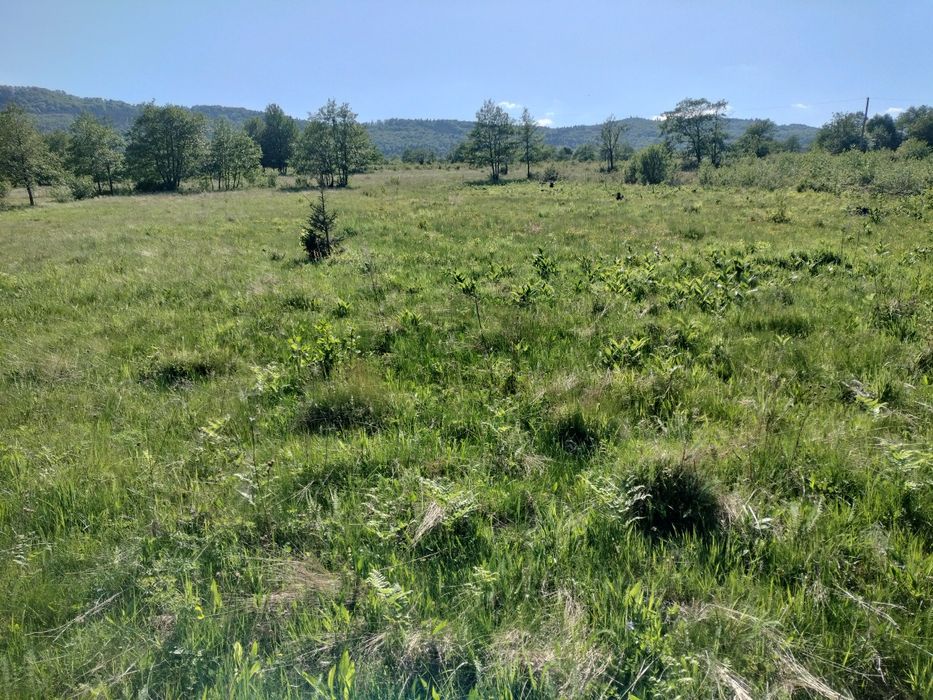 15000 euro 25 ari extravilan