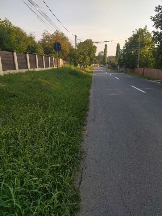 Teren de vanzare Ciurea - Vedere 4