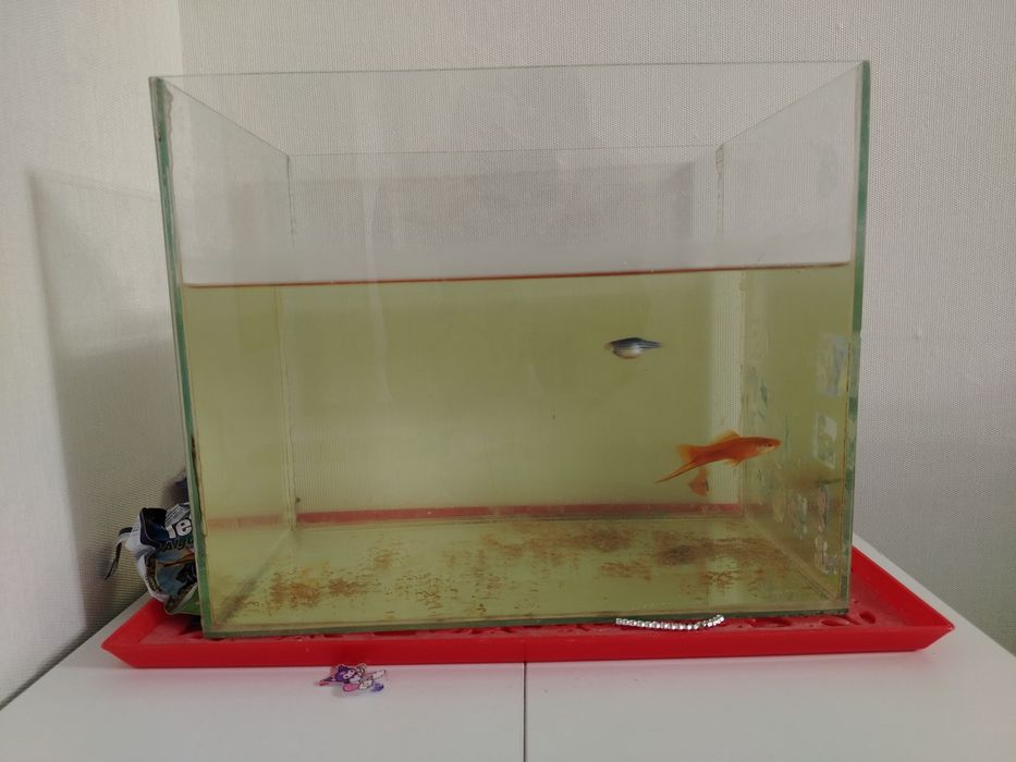 Аквариум 30 литр