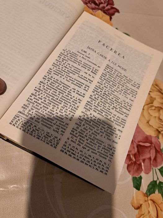 Biblia Vechiul Testament