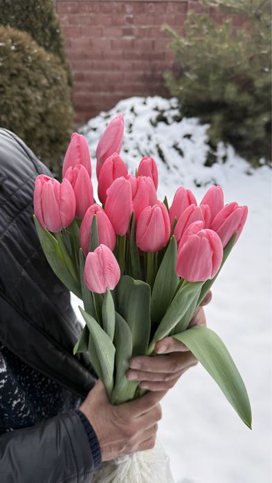 Тюльпаны оптом местные