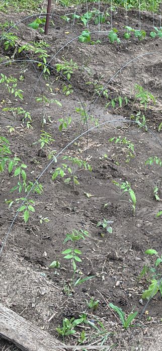 Дуги для парника