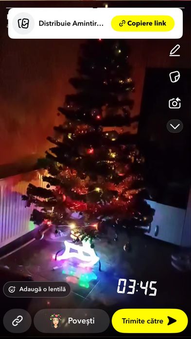 Brad de craciun 228cm