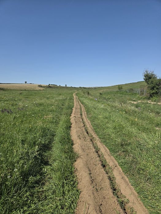 Execut santuri sapaturi irigatii miniexcavator trencher Roman Iasi BC