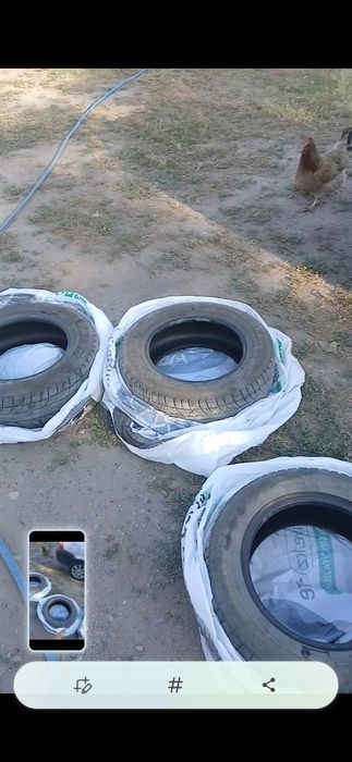 Арзан багада донгелек бар 14