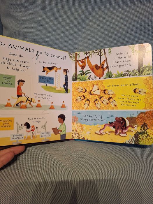 Usborne - Why do I have to go to school?