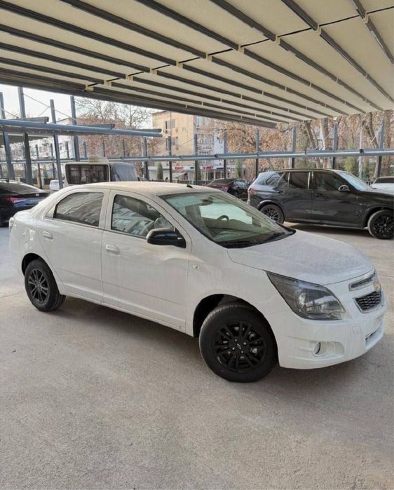 Cobalt MID NIGHT MCM 2026 yil