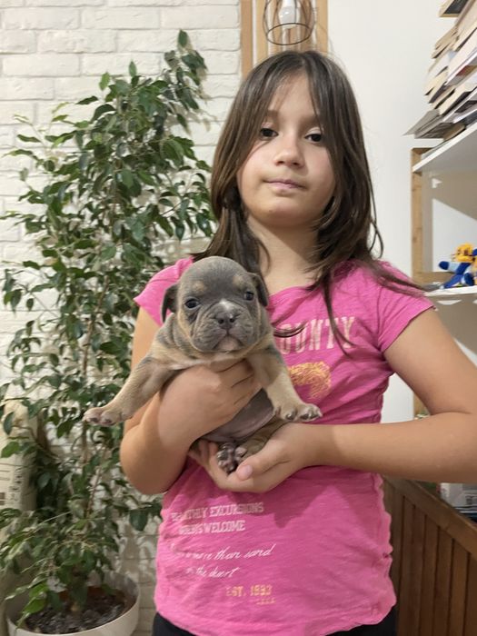 ТОП Реални ПОКЕТ Американско були / Трицветни