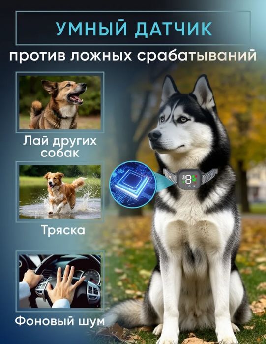 Ошейник для собак АНТИЛАЙ