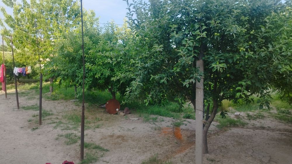 Sroshna uy sotiladi Parkent tumani Samsarak MFY Samsarak koʻchasi