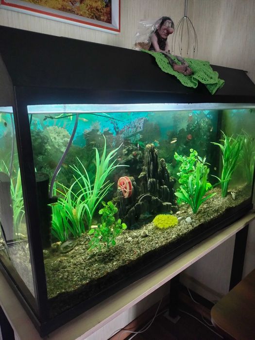 Аквариум 200 литров