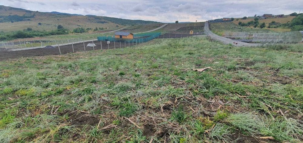 Proprietate Dealul Budacului (zona RAAL) – 6 Ari sau Tot Domeniul de 14 Ari (Terasat, Zid de Piatră + BONUS)