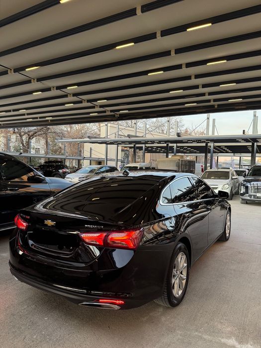 Malibu 2LT 2019 primer