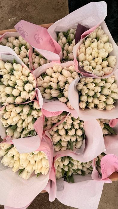 Тюльпаны оптом в розницу/ корпоративные заказы