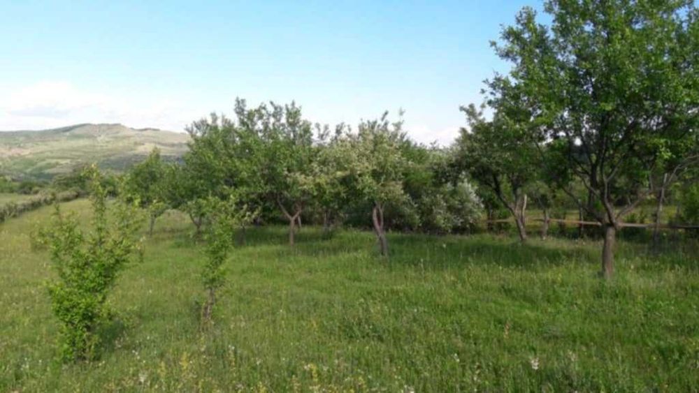 Vând livadă 3600 mp – Sebeșel, jud. Alba