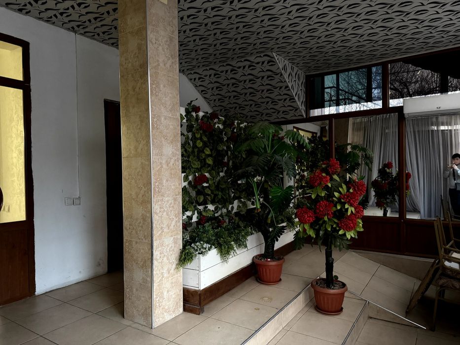 Аренда Кафе Теректи