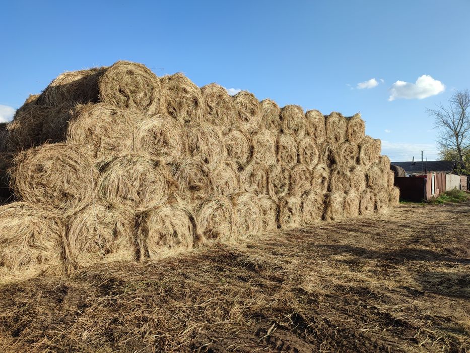Сено разнотравье в рулонах