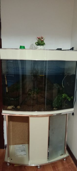 Продается аквариум с тумбой ,
 размеры
80*70*30 см.
Высота тумбы 70 см