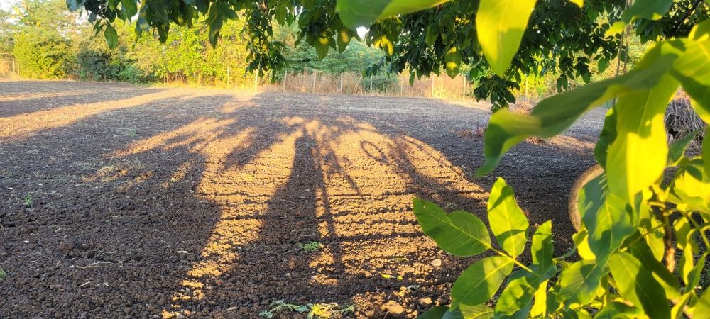 Продавам дворно място Равнец област Бургас