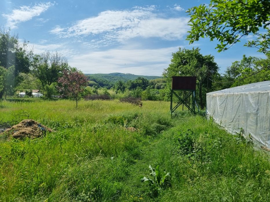 Vanzare/Schimb/ Casa + teren 5.000 mp Tisau, Judetul Buzau