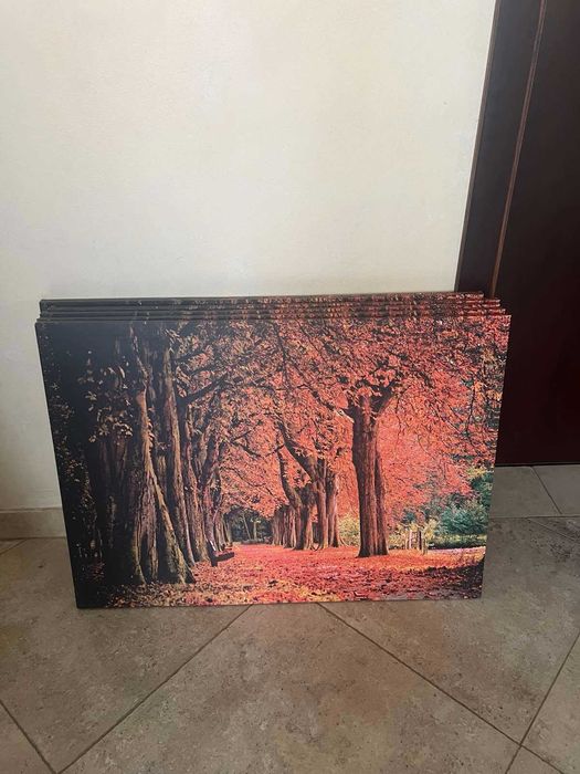 Картини за хотел или къща за гости