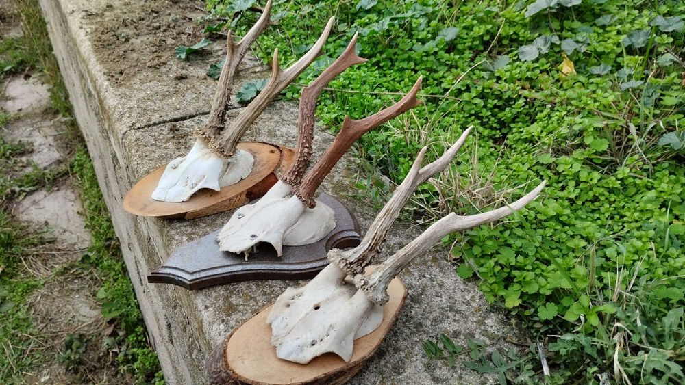 Декор, украса, сувенир