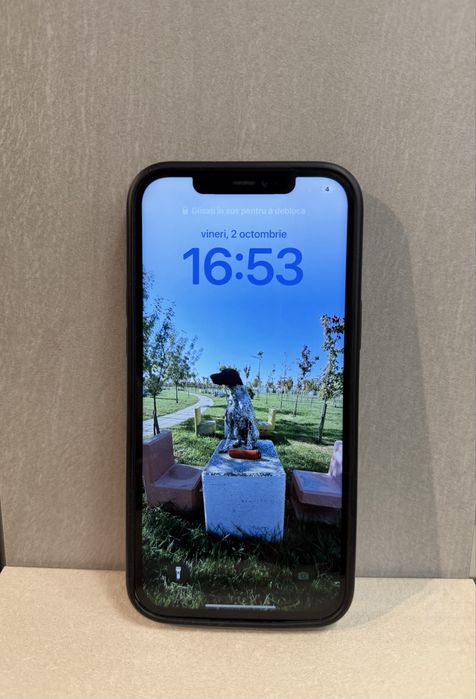 Vand Iphone 12 Pro Max 256 Gb