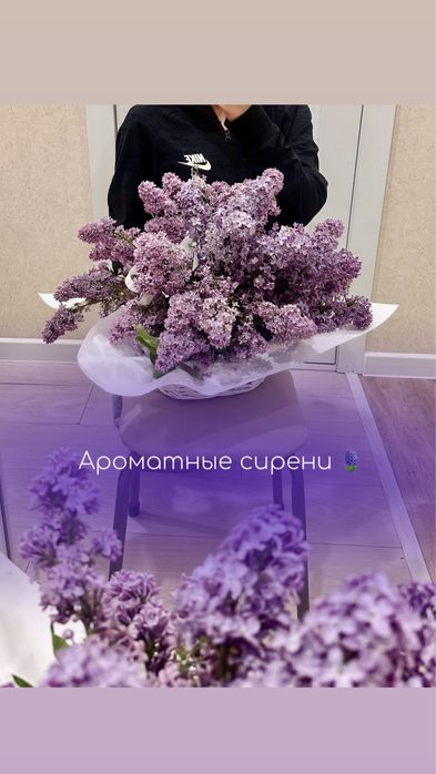 Сирень АСТАНА букет/корзина